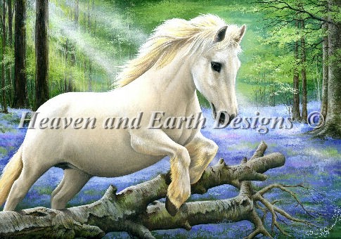 White Pony In Bluebell Wood - Click Image to Close